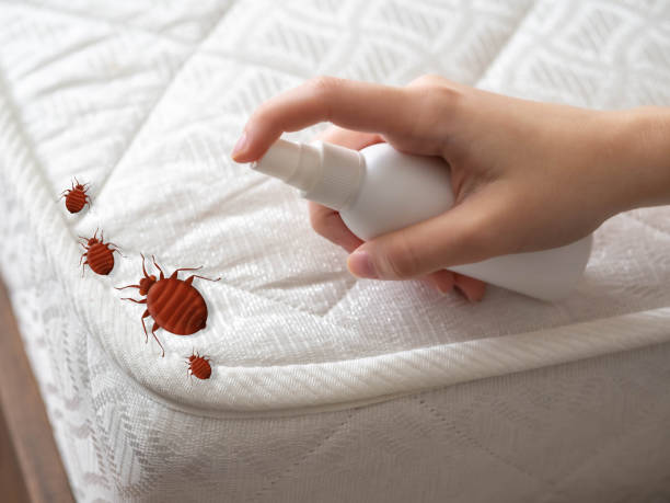 Best Bed Bug Extermination  in Morrow, GA
