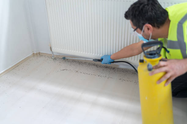 Best Exterminator Services  in Morrow, GA