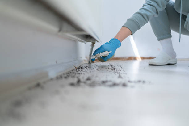 Professional Pest Control in Morrow, GA